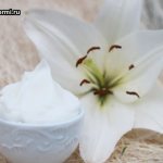 Белая лилия и сливки в блюдце