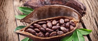 Из чего делают какао