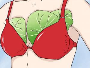 Как можно применять капустный лист при болезнях груди