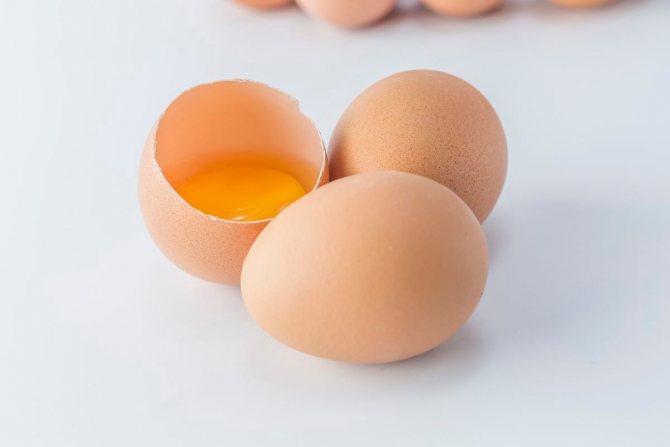 какие яйца можно давать ребенку