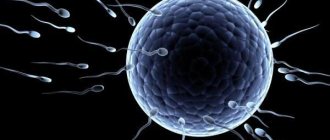 Когда на УЗИ видно плодное яйцо, почему эмбрион не визуализируется на сроке 6–7 недель беременности?