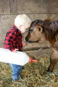 коровье молоко детям до года