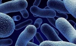Медикамент не активен относительно грамположительных бактерий, у которых есть стойкость к эритромицину