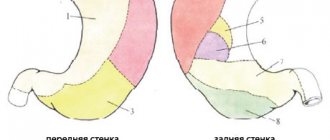 Области соприкосновения со смежными органами