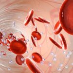 Почему бывают повышены эритроциты в крови у ребенка или взрослого