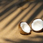 Useful properties of coconut