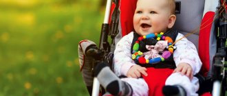 Полугодовалый малыш в коляске