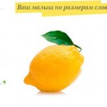 Размер плода на 12 неделе беременности