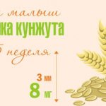 Размер плода на 5 неделе беременности