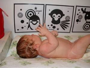Развивающие картинки для ребенка в 1 месяц