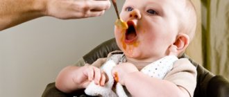Ребенка кормят морковным пюре с ложки