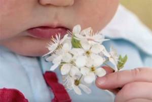 Ребенок нюхает цветы