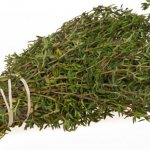 collection and preparation of thyme