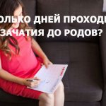 How many days pass from conception to the day of birth?