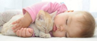 сон ребенка - норма сна для детей