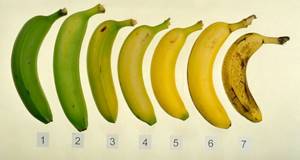 степень зрелости банана