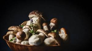 Вред грибов