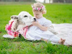 вскармливание ребенка коровьим молоком